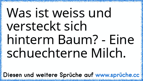 Was ist weiss und versteckt sich hinterm Baum? - Eine schuechterne Milch.