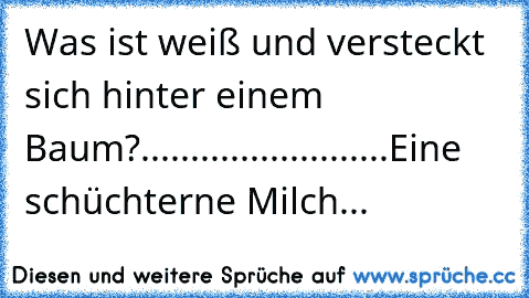 Was ist weiß und versteckt sich hinter einem Baum?
.
.
.
.
.
.
.
.
.
.
.
.
.
.
.
.
.
.
.
.
.
.
.
.
.
Eine schüchterne Milch...