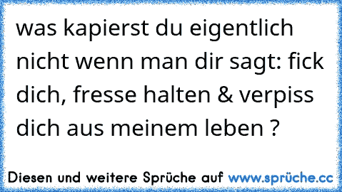 was kapierst du eigentlich nicht wenn man dir sagt: fick dich, fresse halten & verpiss dich aus meinem leben ?