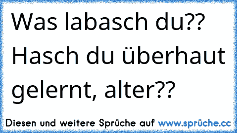 Was labasch du?? Hasch du überhaut gelernt, alter??