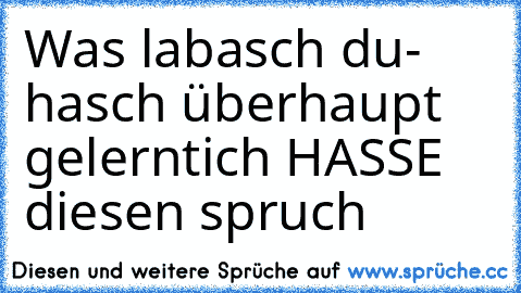 Was labasch du- hasch überhaupt gelernt
ich HASSE diesen spruch