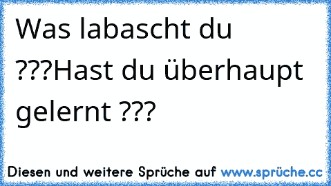 Was labascht du ???
Hast du überhaupt gelernt ???