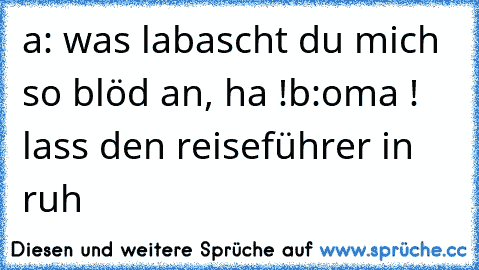 a: was labascht du mich so blöd an, ha !
b:oma ! lass den reiseführer in ruh