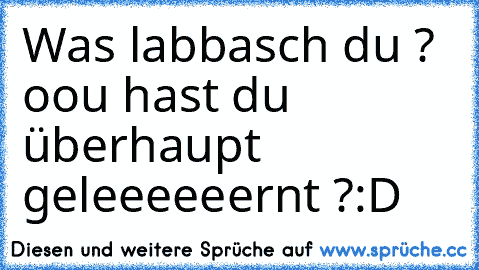 Was labbasch du ? oou hast du überhaupt geleeeeeernt ?:D