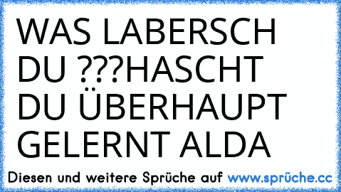 WAS LABERSCH DU ???
HASCHT DU ÜBERHAUPT GELERNT ALDA