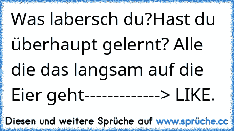 Was labersch du?
Hast du überhaupt gelernt? 
Alle die das langsam auf die Eier geht
-------------> LIKE.