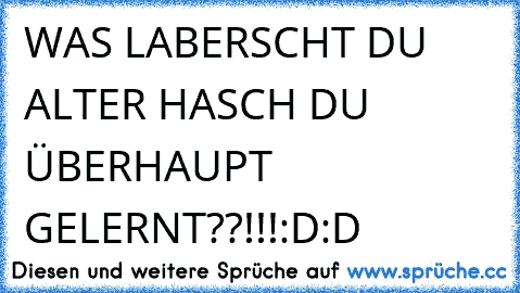 WAS LABERSCHT DU ALTER HASCH DU ÜBERHAUPT GELERNT??!!!:D:D