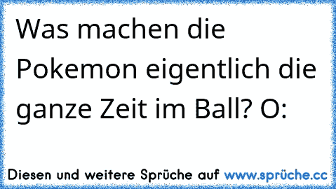 Was machen die Pokemon eigentlich die ganze Zeit im Ball? O: