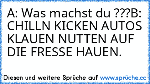 A: Was machst du ???
B: CHILLN KICKEN AUTOS KLAUEN NUTTEN AUF DIE FRESSE HAUEN.