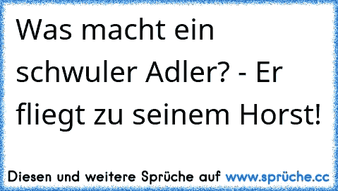 Was macht ein schwuler Adler? - Er fliegt zu seinem Horst!