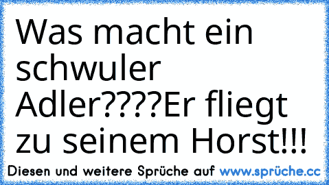 Was macht ein schwuler Adler????
Er fliegt zu seinem Horst!!!