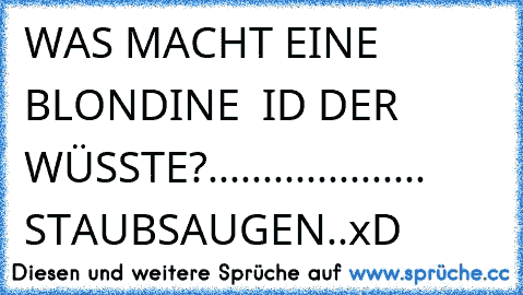 WAS MACHT EINE BLONDINE  ID DER WÜSSTE?.................... STAUBSAUGEN..xD