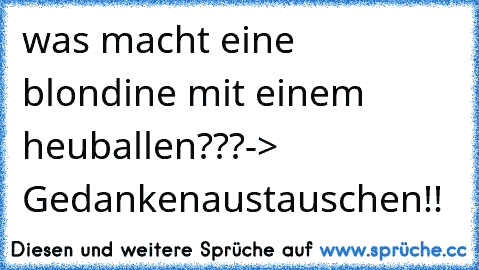 was macht eine blondine mit einem heuballen???-> Gedankenaustauschen!!