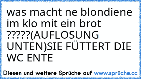 was macht ne blondiene im klo mit ein brot ?????(AUFLOSUNG UNTEN)
SIE FÜTTERT DIE WC ENTE♥