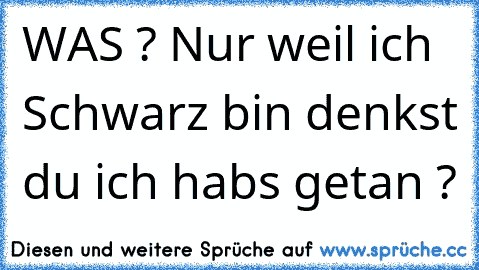 WAS ? Nur weil ich Schwarz bin denkst du ich habs getan ?