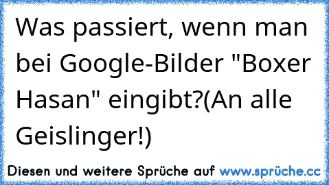 Was passiert, wenn man bei Google-Bilder "Boxer Hasan" eingibt?
(An alle Geislinger!)