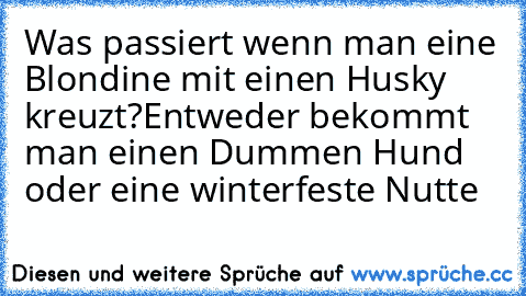 Was passiert wenn man eine Blondine mit einen Husky kreuzt?
Entweder bekommt man einen Dummen Hund oder eine winterfeste Nutte