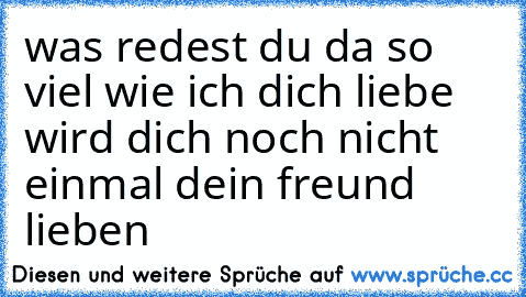 was redest du da so viel wie ich dich liebe wird dich noch nicht einmal dein freund lieben ♥