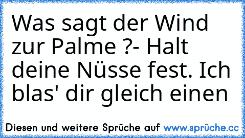 Was sagt der Wind zur Palme ?
- Halt deine Nüsse fest. Ich blas' dir gleich einen