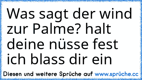 Was sagt der wind zur Palme? halt deine nüsse fest ich blass dir ein