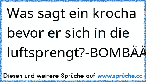 Was sagt ein krocha bevor er sich in die luftsprengt?
-BOMBÄÄÄÄÄ!!!!