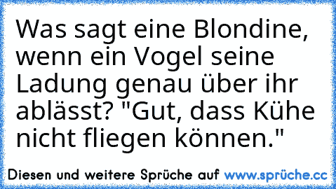 Was sagt eine Blondine, wenn ein Vogel seine Ladung genau über ihr ablässt? "Gut, dass Kühe nicht fliegen können."