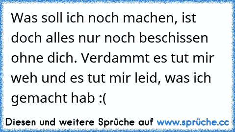 Was soll ich noch machen, ist doch alles nur noch beschissen ohne dich. Verdammt es tut mir weh und es tut mir leid, was ich gemacht hab :(