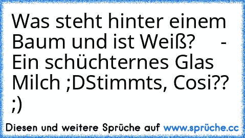 Was steht hinter einem Baum und ist Weiß?
     - Ein schüchternes Glas Milch ;D
Stimmts, Cosi?? ;)