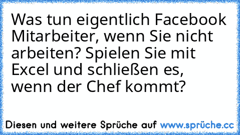 Was tun eigentlich Facebook Mitarbeiter, wenn Sie nicht arbeiten? Spielen Sie mit Excel und schließen es, wenn der Chef kommt?