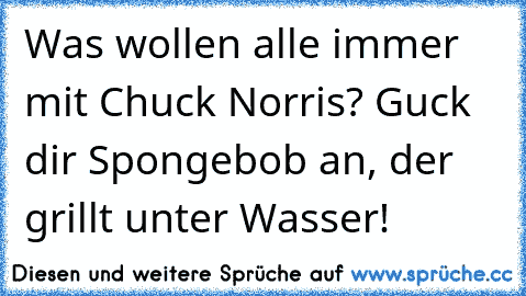 Was wollen alle immer mit Chuck Norris? Guck dir Spongebob an, der grillt unter Wasser!