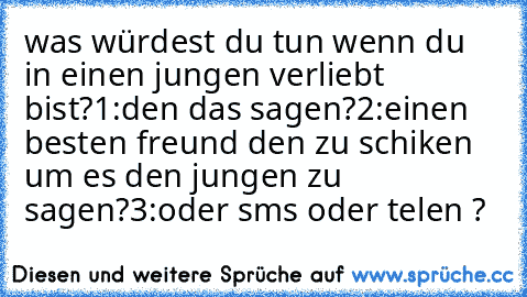 was würdest du tun wenn du in einen jungen verliebt bist?
1:den das sagen?
2:einen besten freund den zu schiken um es den jungen zu sagen?
3:oder sms oder telen ?