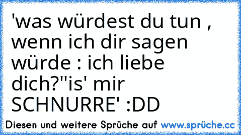 'was würdest du tun , wenn ich dir sagen würde : ich liebe dich?'
'is' mir SCHNURRE' :DD