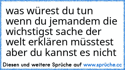 was würest du tun wenn du jemandem die wichstigst sache der welt erklären müsstest aber du kannst es nicht