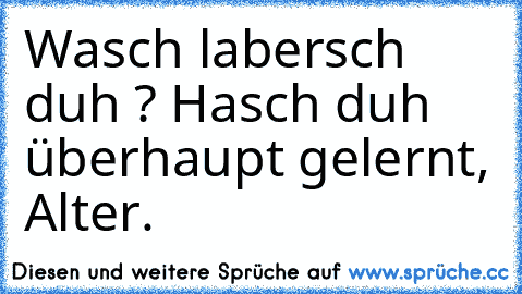 Wasch labersch duh ? Hasch duh überhaupt gelernt, Alter.