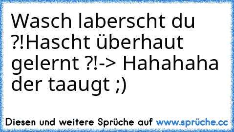 Wasch laberscht du ?!
Hascht überhaut gelernt ?!
-> Hahahaha der taaugt ;) 