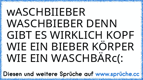 wASCHBIIEBER WASCHBIEBER DENN GIBT ES WIRKLICH
 KOPF WIE EIN BIEBER KÖRPER WIE EIN WASCHBÄR
c(: