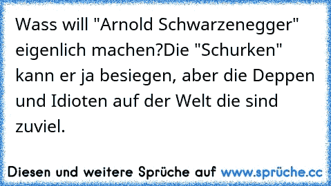 Wass will "Arnold Schwarzenegger" eigenlich machen?
Die "Schurken" kann er ja besiegen, aber die Deppen und Idioten auf der Welt die sind zuviel.