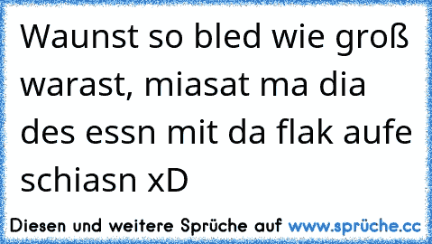 Waunst so bled wie groß warast, miasat ma dia des essn mit da flak aufe schiasn xD