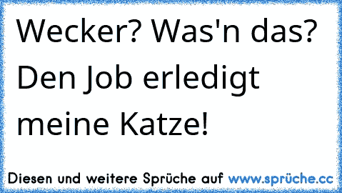 Wecker? Was'n das? Den Job erledigt meine Katze!