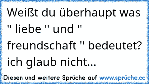 Weißt Du überhaupt Was Liebe Und Freundschaft