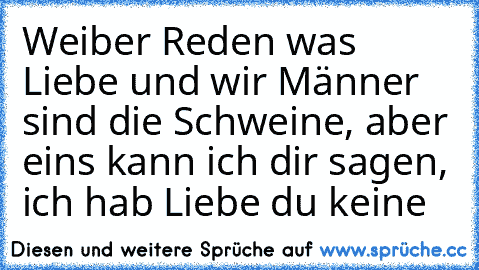 Weiber Reden was Liebe und wir Männer sind die Schweine, aber eins kann ich dir sagen, ich hab Liebe du keine ♥