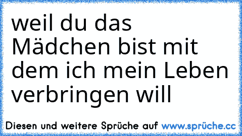 weil du das Mädchen bist mit dem ich mein Leben verbringen will