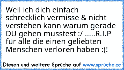 Weil ich dich einfach schrecklich vermisse & nicht verstehen kann warum gerade DU gehen musstest :/ .....
R.I.P ♥
für alle die einen geliebten Menschen verloren haben :(!