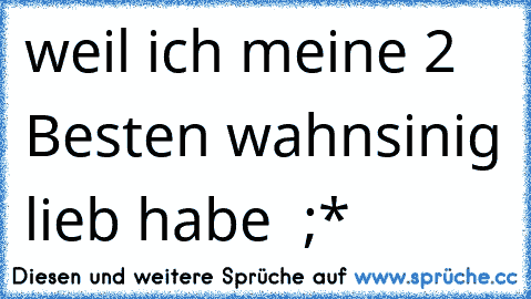 weil ich meine 2 Besten wahnsinig lieb habe ♥ ;*