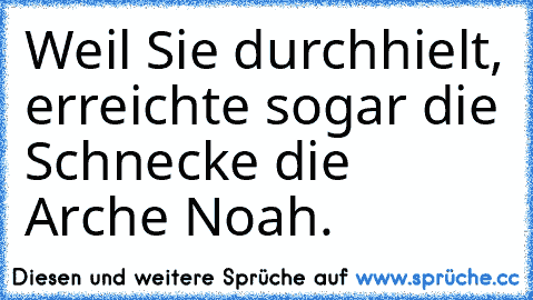 Weil Sie durchhielt, erreichte sogar die Schnecke die Arche Noah. ♥