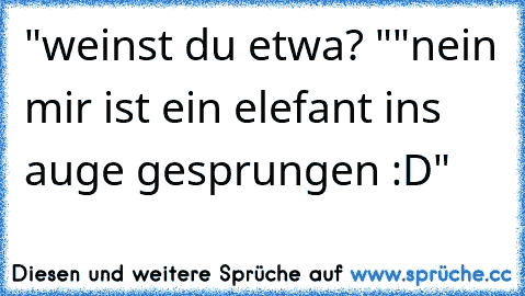 "weinst du etwa? "
"nein mir ist ein elefant ins auge gesprungen :D"