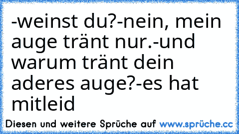 -weinst du?
-nein, mein auge tränt nur.
-und warum tränt dein aderes auge?
-es hat mitleid