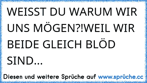 WEISST DU WARUM WIR UNS MÖGEN?!
WEIL WIR BEIDE GLEICH BLÖD SIND...