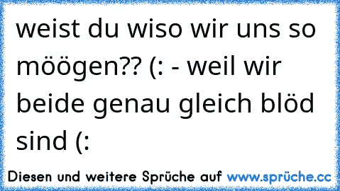 weist du wiso wir uns so möögen?? (: - weil wir beide genau gleich blöd sind (: 