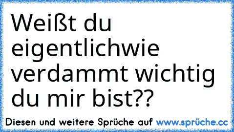 Weißt du eigentlich
wie verdammt wichtig du mir bist??